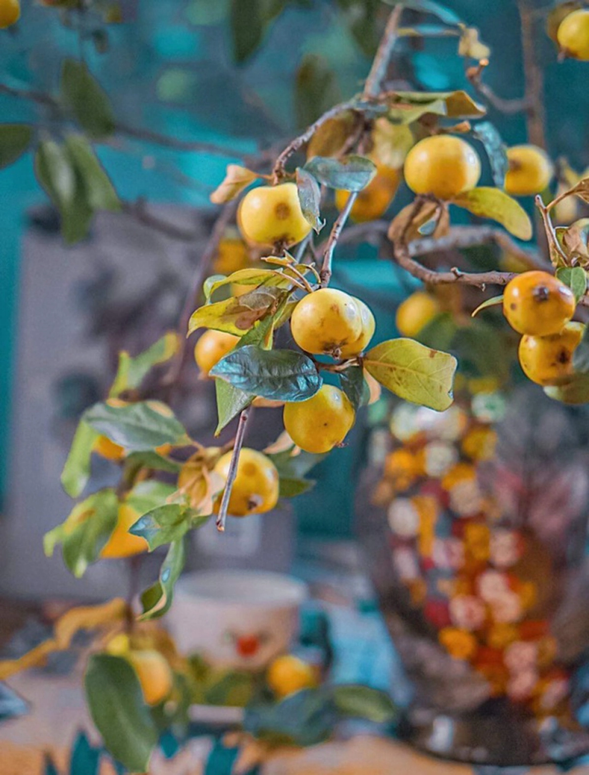 Kombucha - Đồ Uống Healthy Nhưng Vô Cùng Ngon Lành