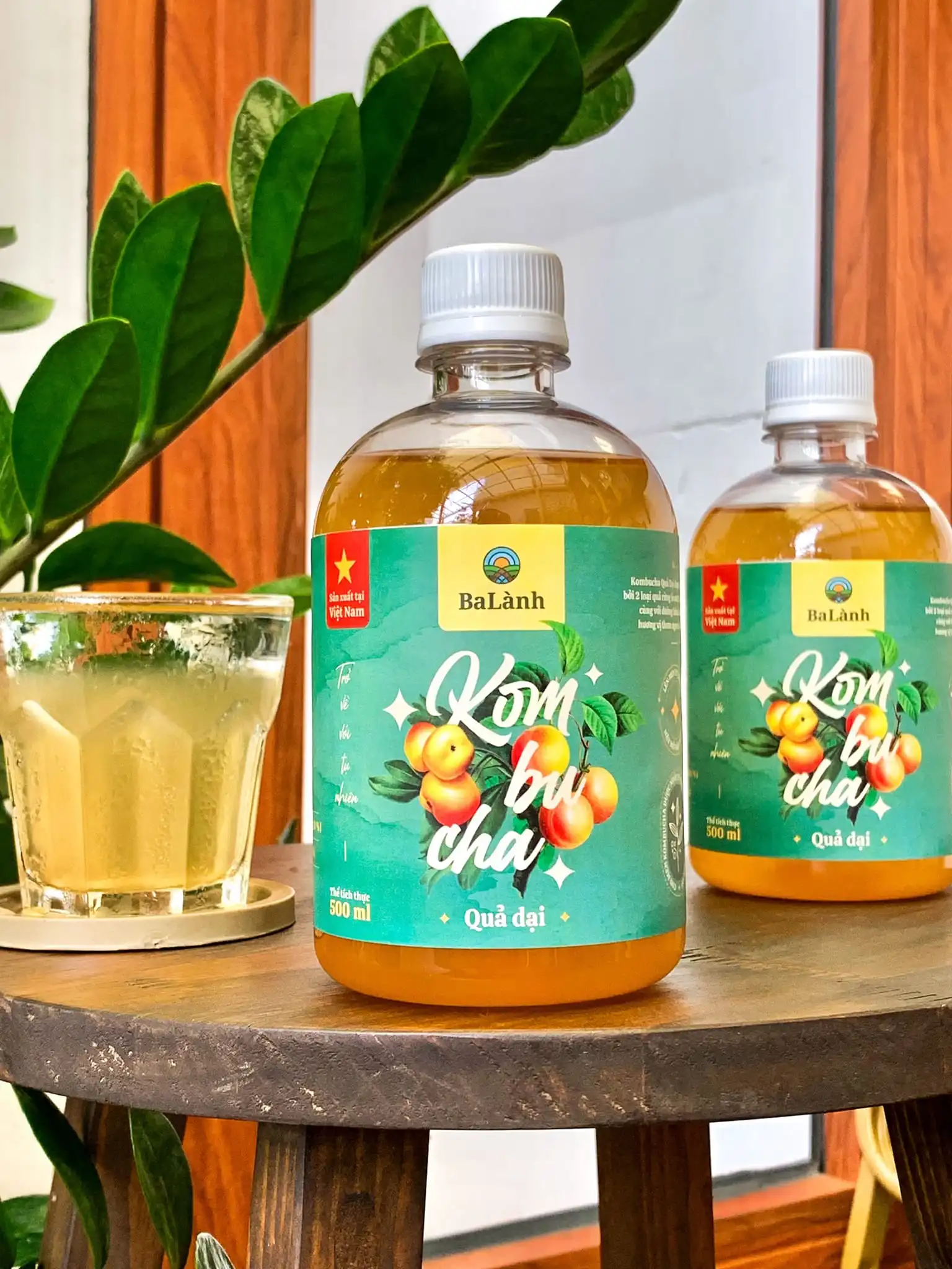 Kombucha - Đồ Uống Healthy Nhưng Vô Cùng Ngon Lành