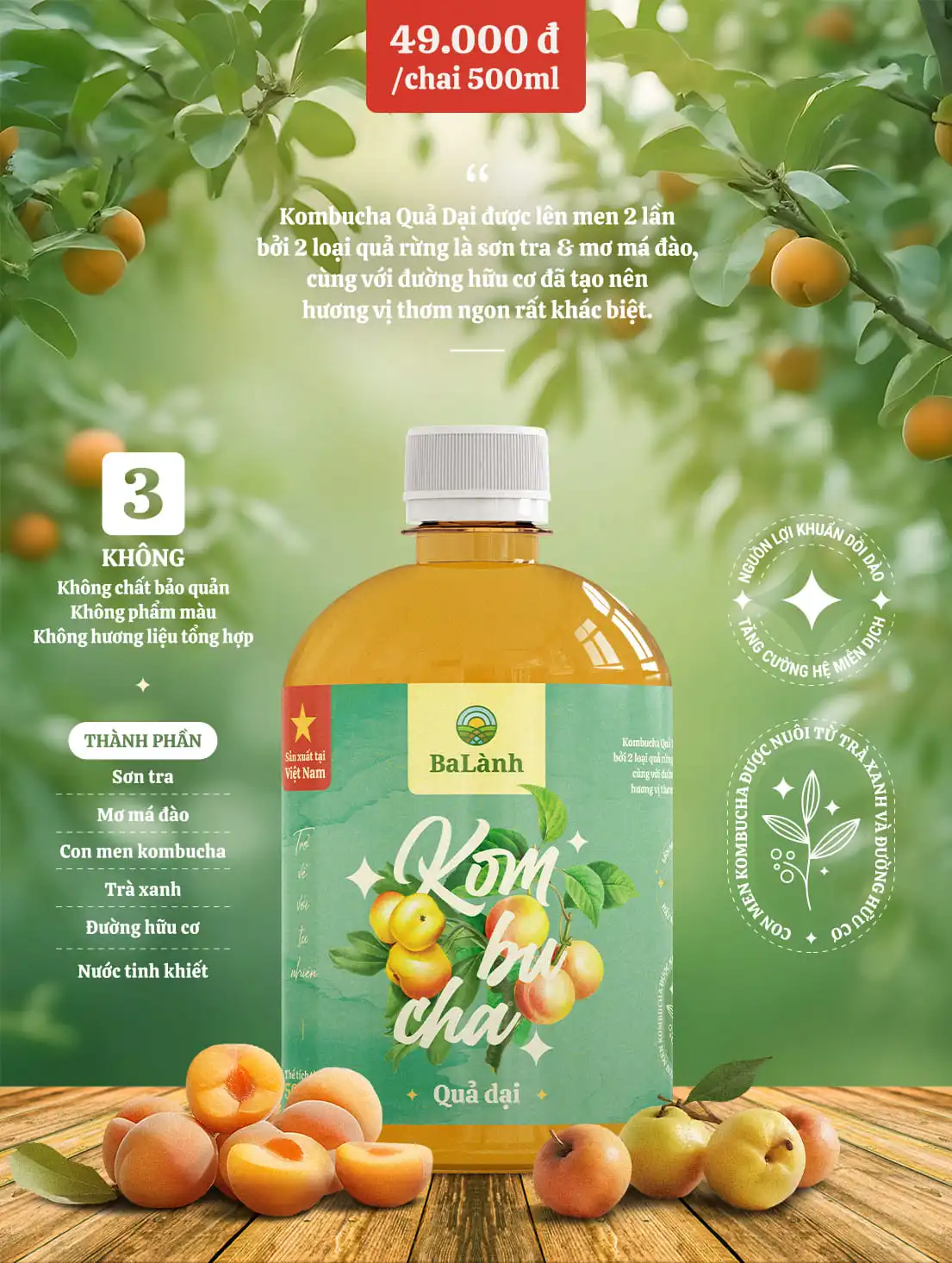 Kombucha - Đồ Uống Healthy Nhưng Vô Cùng Ngon Lành